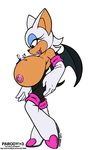  bat big_breasts breasts female green_eyes happy male mammal nipples plain_background rouge_the_bat sega size_difference smile sonic_(series) tail vkyrie warm_colors white_background wings 