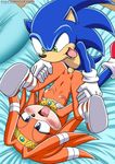  bed hedgehog sega sex sonic_(series) sonic_the_hedgehog tikal_the_echidna unknown_artist 