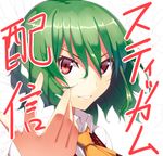  ascot bad_id bad_pixiv_id dress_shirt face green_hair grin highres kaiza_(rider000) kazami_yuuka outstretched_arm plaid plaid_vest red_eyes shirt short_hair smile solo stickam touhou translated vest 