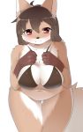  2018 anthro blush brown_fur brown_hair butt canid canine clothed clothing faeki female fluffy fluffy_tail fur hair hi_res looking_at_viewer mammal navel no_underwear partially_clothed pink_eyes simple_background smile solo standing white_background 