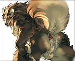  anthro anus balls butt canine cum cum_in_ass cum_inside cum_on_balls cum_on_butt gaping gaping_anus gay looking_at_viewer male mammal muscles rouen scar shining_(series) shining_wind solo spread_butt spreading unknown_artist video_games warm_colors wolf 