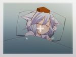  adaajt animal_ears blanket closed_eyes hat inubashiri_momiji pillow short_hair silver_hair sleeping solo tokin_hat touhou viewfinder wolf_ears 