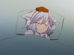  adaajt animal_ears blanket hat inubashiri_momiji pillow short_hair silver_hair sleeping solo tokin_hat touhou wolf_ears 