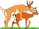  deer female feral hooves klaus_doberman male mammal sex straight warm_colors 