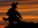  black dog gun koosh-ball m249_paratrooper male mammal military orange photoshop ranged_weapon realistic safe shadow silhouette soldier solo steggy sunset warm_colors weapon 