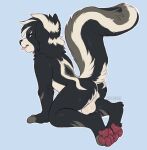 anthro balls butt from_behind_position fur genitals kaden_(luniethewolf66) kittbites looking_back male mammal mephitid multicolored_body multicolored_fur nude pawpads paws pinup pose raised_tail sex skunk skunk_tail solo tail teasing tongue