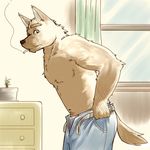  clothing dog dressing german_shepherd kotori looking_at_viewer male mammal muscles pants smoking solo surprise surprised topless undressing 