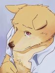  canine dog kotori looking_at_viewer male mammal red_eyes solo tears undressing 