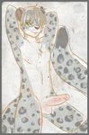  erection eyewear feline glasses leopard lintu looking_at_viewer male mammal nude penis snow_leopard solo tail 