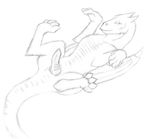  cute dragon erection feral knot koosh-ball looking_at_viewer male monochrome penis presenting ridges scalie showing_off sketch solo spread_legs spreading steggy traditional traditional_media 