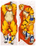  balls build_tiger build_tiger_(character) butt dakimakura feline gamma-g gay male mammal muscles penis solo tiger warm_colors 