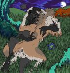 aden_holzer_(kitafune_matsuki) anthro avian balls big_breasts bird black_body black_feathers breasts canid canine canis cloud corvid corvus_(genus) digitigrade embrace exposed_breasts fantasy_world feathers female flower from_front_position genitals grass hair head_grab head_tuft heidi_quinn_(turnerfox) hi_res kitafune_matsuki long_hair lying male male/female mammal missionary_position moon night on_back oscine passerine plant plantigrade raised_leg raven red_wolf romantic romantic_sex sex slim tree tuft wolf