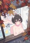  3girls :o absurdres animal_ear_fluff arm_support autumn_leaves bathtub black_eyes black_hair blue_archive blush breast_rest breasts collarbone commentary_request completely_nude from_above from_outside halo highres indoors kaede_(blue_archive) kakido_(hatisaka28) large_breasts leaf leaning_forward looking_at_viewer looking_up maple_leaf multiple_girls nipples nude parted_lips rubber_duck short_hair sitting soap soap_bottle solo_focus tsubaki_(blue_archive) washing_hair 