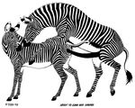  all_fours animal_genitalia anus doggy_position doggystyle equine female feral feral_on_feral from_behind hooves horsecock looking_back male mammal monochrome penis pussy sex straight tim_o'rourke tor zebra 