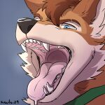 anthro blue_eyes cain_the_dingo canid canine canis collar dingo green_collar hi_res kisarts looking_down male male/male mammal open_mouth solo tongue tongue_out