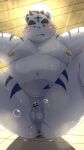 2024 anal anal_masturbation anthro balls belly big_belly blush felid genitals hi_res kemono male mammal masturbation menmen_kesinn moobs navel nipples overweight overweight_male pantherine penis small_penis solo tiger white_body