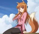  horo tagme the wise wolf 