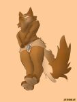 absurd_res anthro balls bottomwear brown_body brown_fur cetacean chastity_cage chastity_device clothed clothing dolphin erection fluffy fur genitals girly hi_res hoodie legwear male mammal marine panties penis simple_background solo tail thigh_highs toothed_whale topwear tuft underwear xnix