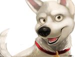  bolt bolt_(film) canine collar disney dog feral ifus looking_at_viewer male mammal plain_background solo white_background 