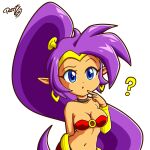 2023 absurd_res blue_eyes breasts cleavage clothed clothing ear_piercing ear_ring female genie hair hi_res humanoid humanoid_pointy_ears long_hair navel not_furry piercing ponytail purple_hair ring_piercing rotzedust shantae shantae_(series) signature simple_background solo tan_body tan_skin wayforward