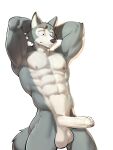 2024 abs anthro areola balls beastars big_balls big_penis canid canine canis erection fur genitals grey_body grey_fur hi_res jrjresq legoshi_(beastars) male mammal multicolored_body multicolored_fur muscular muscular_anthro muscular_male nude penis solo tail two_tone_body two_tone_fur wolf