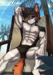 2024 aak_(arknights) abs absurd_res anthro areola arknights athletic athletic_anthro athletic_male black_body black_fur bulge chaise_lounge clothed clothing domestic_cat ear_piercing felid feline felis fur hair hair_over_eye hi_res hypergryph looking_at_viewer lying male mammal one_eye_obstructed palm_tree piercing plant rabbitdx26 solo studio_montagne swimwear tail topless topless_anthro topless_male tree white_body white_fur