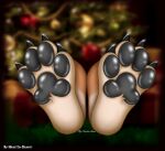 anthro cain_the_dingo canid canine canis christmas christmas_decorations dingo feet foot_focus hi_res holidays male male/male mammal nharita-chan pawpads paws solo