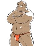 2024 anthro asian_clothing bear brown_body clothing east_asian_clothing fundoshi humanoid_hands japanese_clothing kemono male mammal navel oogamikennta pubes red_clothing red_fundoshi red_underwear simple_background solo underwear white_background