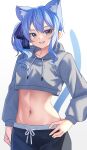  1girl absurdres animal_ear_fluff animal_ears aoi_zerii black_shorts blue_eyes blue_hair blush breasts cat_ears cat_girl cat_tail grey_hoodie hair_between_eyes hair_ornament hair_ribbon highres hololive hood hood_down hoodie hoshimachi_suisei long_sleeves looking_at_viewer medium_hair midriff navel ribbon shorts side_ponytail smile solo star_(symbol) star_in_eye symbol_in_eye tail virtual_youtuber 