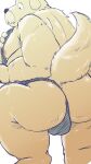 2024 anthro asian_clothing bulge canid canine canis clothing dain_4201 domestic_dog east_asian_clothing facial_hair fundoshi hi_res japanese_clothing kemono male mammal moobs mustache nipples overweight overweight_male simple_background solo underwear white_background
