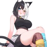  1girl :3 absurdres animal_ear_fluff animal_ears aqua_socks asymmetrical_legwear aurahman bare_shoulders bell black_gloves black_hair black_shirt black_shorts blue_eyes blush breasts cat_ears cat_girl cat_tail commentary crop_top crossed_legs detached_collar english_commentary fishnet_pantyhose fishnets gloves hair_between_eyes heterochromia highres jingle_bell large_breasts looking_at_viewer midriff multicolored_hair open_mouth original pantyhose shirt short_hair shorts single_glove sitting socks solo split-color_hair streaked_hair tail two-tone_hair uneven_legwear upper_body white_background white_hair yellow_eyes yellow_socks 
