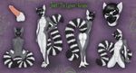  balls cool_colors cute erection femboi girly joel_the_lemur lemur lividia male mammal model_sheet nude penis penis_tip primate sheath solo 