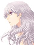  darker_than_black face hair_down long_hair profile purple_eyes silver_hair simple_background solo tooya_(gin'iro_koubou) yin 