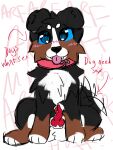 absurd_res animal_genitalia animal_penis arrow_sign balls barking bernese_mountain_dog blue_eyes blue_sclera blush blush_lines bodily_fluids canid canine canine_genitalia canine_penis canis cheek_tuft collar collar_only colored_sketch countershading dialogue domestic_dog facial_tuft feral fluffy fluffy_balls fluffy_tail genital_fluids genitals glistening glistening_eyes guide_lines hi_res imminent_bestiality imminent_sex jackrabbit_(artist) male mammal molosser mountain_dog neck_tuft nude penis precum pupils red_collar red_penis sheath sketch solo swiss_mountain_dog tail tail_motion tailwag tuft