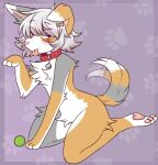 absurd_res alternate_species anthro arcanis_(hahaluckyme) ball bell bell_collar canid canine canis chest_tuft collar crotch_tuft domestic_dog floppy_ears fur grey_body grey_fur hair hi_res mammal marbelle pawpads pink_pawpads red_eyes sapph solo tennis_ball tongue tongue_out tuft white_body white_fur white_hair yellow_body yellow_fur