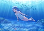  blue_eyes blue_hair caustics fish hat ikamusume isou_nagi long_hair one-piece_swimsuit shinryaku!_ikamusume solo starfish swimming swimsuit tentacle_hair underwater 