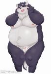 2024 96panda anthro balls belly big_belly blush bodily_fluids canid canine canis domestic_dog flaccid genital_fluids genitals harima hi_res kemono male mammal moobs navel nipples overweight overweight_male penis precum simple_background small_penis solo tamacolle white_background