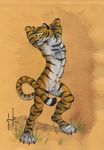  balls chromatic_background feline grass green_eyes hufnaar looking_at_viewer male mammal nude pose sheath solo tiger warm_colors 