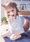  1girl animal_collar animal_ear_fluff animal_ears bare_legs bed between_legs black_socks blue_eyes brown_hair clock collar dog_ears dog_girl dog_tail ear_down finger_to_own_chin full_body hand_between_legs hasuki_rui heterochromia highres indie_virtual_youtuber long_sleeves looking_at_viewer medium_hair multicolored_hair off_shoulder on_bed oversized_clothes oversized_shirt partially_unbuttoned picture_frame pillow plant potted_plant red_eyes shirt sitting sleeves_past_fingers sleeves_past_wrists socks tail toramaru_(toramal9831) two-tone_hair virtual_youtuber wall_clock wariza white_shirt 