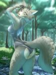 anthro beastars breasts canid canine canis cheek_tuft clothing creek crossgender facial_tuft female fluffy fluffy_tail forest fur furgonomics grey_body grey_fur hi_res legoshi_(beastars) link6432 looking_at_viewer mammal mtf_crossgender one-piece_swimsuit outside partially_submerged plant smile solo standing_in_water swimwear tail tree tuft water wolf
