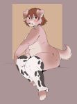 2022 absurd_res anthro anutka biped black_eyes blush breasts brown_hair canid canine canis cheek_tuft claws clothing countershade_face countershade_tail countershade_torso countershading cow_print_thighhighs digital_media_(artwork) domestic_dog eyebrows facial_tuft female folded_ears hair hi_res hindpaw legwear legwear_only looking_at_viewer mammal paws scut_tail short_tail simple_background sitting slightly_chubby slightly_chubby_female solo sophie_(anutka) tail thick_thighs toe_claws tuft