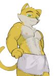 abs absurd_res alex_gordon alex_gordon_(copyright) anthro bulge clothed clothing domestic_cat eyebrows felid feline felis green_eyes hi_res kogito male mammal muscular muscular_anthro muscular_male nipples pecs solo topless topless_anthro topless_male towel towel_around_waist