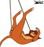  bdsm bondage bound cbt cheetah_lover cock_and_ball_torture disney feline feral lion male mammal mane masochism simba solo the_lion_king 