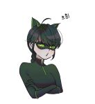  1girl animal_ears black_bodysuit black_hair black_mask bodysuit braid cat_ears cat_girl green_eyes lady_noir lb_black22 long_hair marinette_dupain-cheng mask miraculous_ladybug simple_background single_braid slit_pupils solo superhero_costume upper_body white_background 