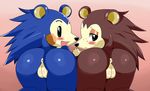  anus blush butt female hedgehog hi_res mabel_able mammal nintendo plump_labia porcupine pussy rodent sable_able sssonic2 video_games 