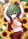  arms_up ascot breasts cleavage flower green_hair kazami_yuuka lying medium_breasts mokku on_back open_clothes open_shirt plaid plaid_skirt plaid_vest red_eyes shirt short_hair skirt skirt_set solo sunflower touhou untied vest 
