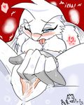  ninko pokemon reshiram tagme 