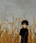  1boy arms_at_sides black_hair black_shirt choppy_bangs closed_mouth day expressionless grey_sky hair_between_eyes highres long_bangs looking_at_viewer male_focus medium_hair original outdoors overcast shirt short_sleeves sidelocks sky solo uzmaki_tamago wheat_field wolf_cut 