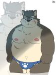 anthro asian_clothing belly blue_eyes blush brown_body brown_fur bulge canid canine canis clothing domestic_dog east_asian_clothing eyebrows fundoshi fur hi_res japanese_clothing lifewonders male mammal moritaka_(tas) musclegut muscular navel nipples pecs pomo_oto scar solo thick_eyebrows tokyo_afterschool_summoners underwear