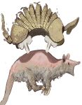  ambiguous_gender armadillo claws feral fur hi_res mammal mossa open_mouth quadruped simple_background solo startled tail white_background xenarthran 